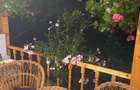 Casa superba in com Barsesti jud Vrancea Comision 0% - 17