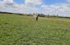 Teren agricol de vanzare, 400mp, Selimbar - 3