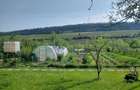 Vand teren 0,75 ha in Bazna cu doua case, o casuta, anexe... Ideal pentru camping, Airbnb, pensiune - 2