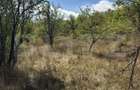 Teren intravilan de vanzare, 1.400 mp, zona Viile Noi