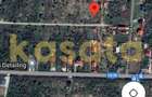 OPORTUNITATE | TEREN | SNAGOV TANCABESTI | CASA | 1000 MP | INVESTITIE - 2