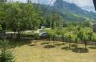 Cabana de vanzare in sat de vacanta Rimetea, cu vedere la Piatra Secuiului, complet mobilata/utilata - 6
