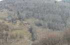 Vanzare teren intravilan - Valea ierii 15.000mp - 5