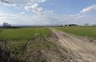 Vand ferma agricola 13 ha intravilan Autostrada A7 - 7
