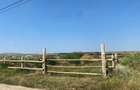 Teren de 36000 mp, în Dumbrava - 3