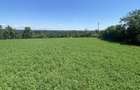 Proprietar, Vand teren intravilan 16600 mp, parcelabil, Comuna Cocu, Arges - 8