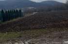 6700 MP TEREN ALBESTI- SIGHISOARA - 4