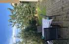 Apartament cochet cu gradina - 3