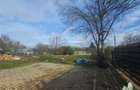 Loturi 500mp intre case langa Padurea Teghes - 2