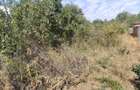 Loc de casa cu toate utilitatile in fata casei in Minis langa Ghioroc - 4