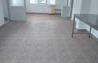 Inchiriez fabrica pentru medicamente naturiste - 8