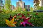 APARTAMENT MODERN CU  2 CAMERE DE INCHIRIAT - URBAN PLAZA - 11
