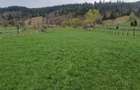 Vindem teren in Vatra Moldovitei - Bucovina - 1