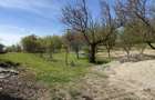 Teren intravilan parcelabil 3.783 mp in Badeni | imprejmuit - 1