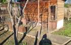 Casă cu 3 camere în Drănic - 8