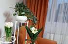 Apartament 2 camere, Drumul Taberei, Bd Timisoara - Oportunitate! - 8