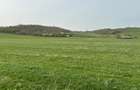 Teren de vanzare, zona Drotleff, 689 mp - 4
