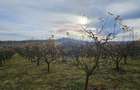 Teren extravilan 10,791mp Falticeni / Strada DJ209A, Opriseni - 9