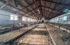 Ferma complet echipata de vanzare zona Agnita, judetul Sibiu - 16