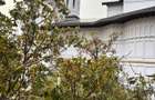 Vand apartament 4 camere zona centrala