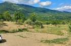 Teren de 1000 mp, în Corbeni - 5