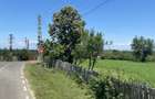 Proprietar, Vand teren intravilan 16600 mp, parcelabil, Comuna Cocu, Arges - 4