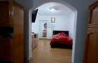 Super! Ap 2 cam Viziru 1, 69 mp PARTER cu balcon 30 mp - 6