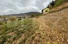 Teren intravilan 1446 mp in Zarnesti | Curent trifazic, fantana pe ter
