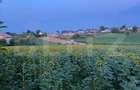 Teren de vanzare, intravilan, 20 ari, Moara Nica