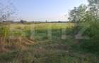 Teren extravilan de vanzare, 5000 mp, zona Viisoara - 5