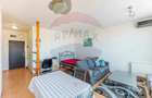 Apartament cu o camera la Ared Kaufland - 13