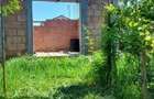 Constructie casa Peciu Nou - 2