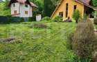 Casa de Vacan?a pe Valea Ighielului 3 camere, 2500 mp curte - 6