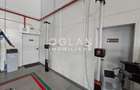 Service auto cu showroom si linie ITP, Cisnadie - 5