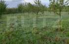 Teren intravilan, 4447 mp, 28 ml deschidere, Pielesti - 12