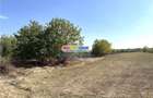Vanzare teren intravilan Baicoi-zona tarag - 8