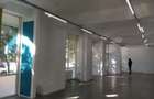 Spatiu Comercial | 261 mp | Tineretului | Front stradal 20 m