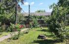 Casa Boema Suseni Arges - 5
