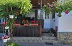Casa renovata pe exterior, cu curte si gradina Campia Turzii - 8