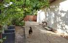 Casa 4 camere | Giurgiului | Piata Progresul | Metrou Eroii Revolutiei - 6