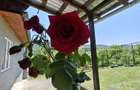 Casa de vacan?a cu teren, zona submontana, aproape de Valenii de Munte - 14