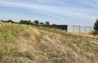 Teren 500 MP Clinceni, langa ferma de struti - 5