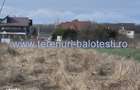 Teren cu gaz si electrica-hotar, 28000 E, padure - 2