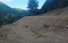 1 hai Bistri?a Bargaului '-Pietroasa , 13 km Colibita - 1
