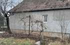Vand casa in Brancovenesti - 5