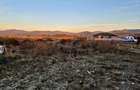 Teren intravilan 1450 mp, construibil Carpinis, zona de case