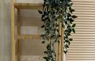 Apartament 2 Camere- Rin Grand Residence - 13