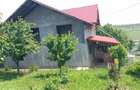 Casă cu Teren 1700 Mp în Erbiceni - 4