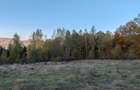 Teren de vanzare pe deal (Ideal Off-Grid, Remote, Retras) - 5