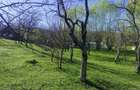 Teren intravilan com.Drajna, sat Catunu, 12 km de Valenii de Munte, jud. Prahova - 2